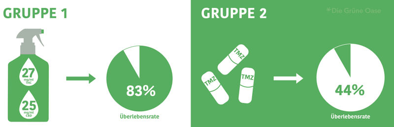 CBD bei Krebs Studie